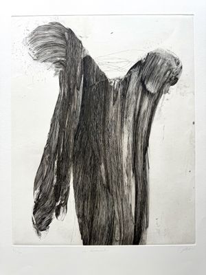 dessin représentant un cheval en noir et blanc, à la crinière longue