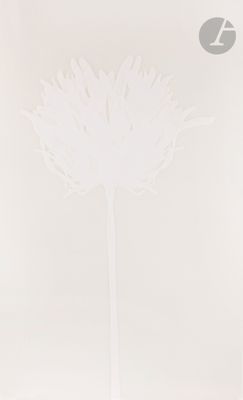 white paper cut of a flower on a white background
