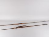 three wooden arrows and a feather on a white surface