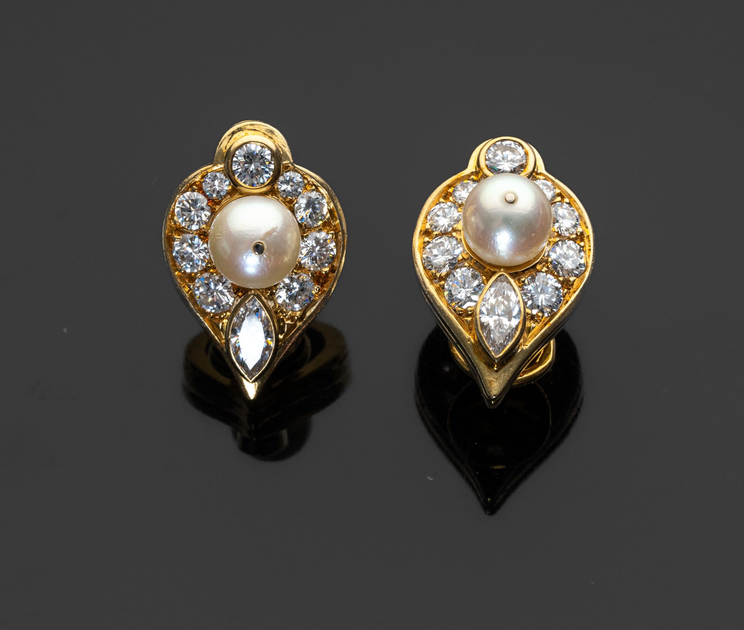 Objets d'art & Curiosités