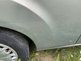 un chat assis dans l'herbe à côté d'une voiture