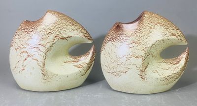 deux vases posés côte à côte sur une table