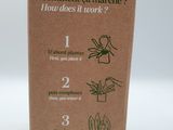 a cardboard box with instructions on how to plant a plant