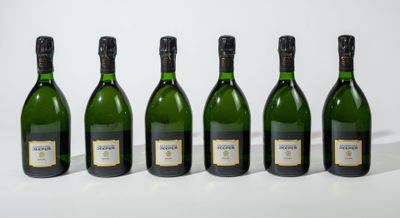 6B - CHAMPAGNE EXTRA-BRUT NATURELLE - Jeeper - NM