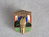 a close up of a badge on a white surface