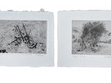deux photos en noir et blanc représentant un champ avec un arbre et une maison