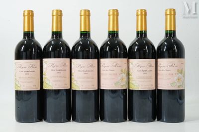 six bouteilles de vin sont alignées sur une surface blanche