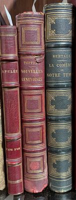 "ILLUSTRÉS XIXe. — 3 ouvrages.