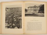 an open book with a picture of a house and a field of dandelions