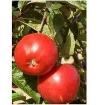 Destockage & Invendus