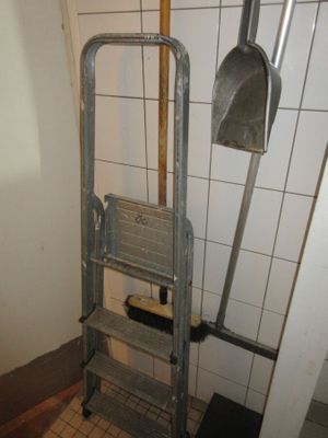 une échelle située à côté des toilettes dans une salle de bains