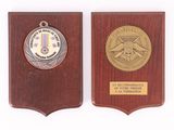 two plaques of medals on a wooden plaque on a white background