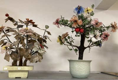 deux plantes en pot posées sur une table
