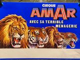 Photo 4/10 du lot