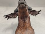 a statue of a horse with a hat on it ' s head