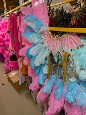 de nombreuses plumes de différentes couleurs suspendues à un présentoir dans un magasin