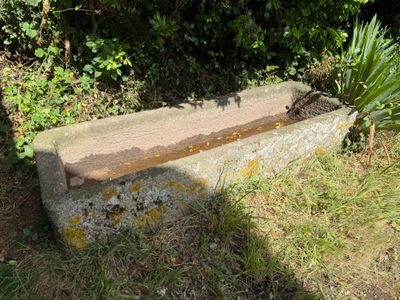 un banc en béton posé au milieu de la pelouse