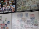 de nombreux timbres exposés au mur