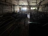 a room filled with lots of cows inside of it