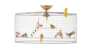 beaucoup d'oiseaux qui sont dans une cage