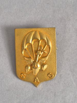 une image représentant un insigne métallique doré orné d'un dragon