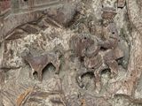 a picture of a carving on the wall of a building
