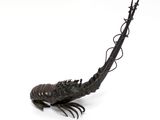 a metal sculpture of a fish on a white surface