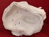 an image of a white porcelain sculpture of a shell on a red surface