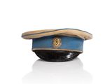an image of a blue hat with a gold emblem on it