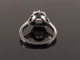 a silver ring with a skull head on top of it