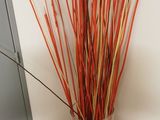 a tall vase with sticks in it next to a door