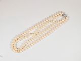 gros plan d'un collier de perles sur une surface blanche