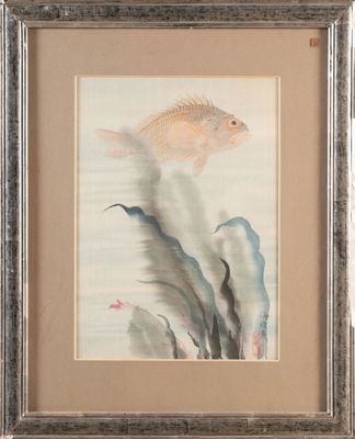 painting of a fish and seaweed in a frame on a wall