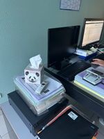 1 moniteur HP