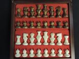 a lot of chess pieces that are in a case