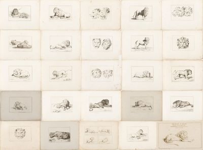 de nombreux dessins sur le mur d'une pièce