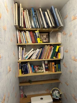 a toilet in the corner of a room with a bookshelf
