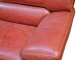 an image of a red leather couch on a white background