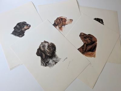 quatre cartes sur lesquelles sont dessinés des chiens, posées sur une table