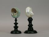 two seashells sitting on top of a black stand
