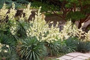 Destockage & Invendus