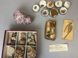 une boîte remplie de cailloux et d'autres objets posée sur une table