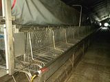 de nombreuses cages alignées à l'intérieur d'un bâtiment