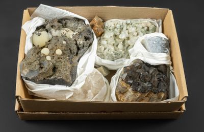une boîte contenant différents types d'aliments