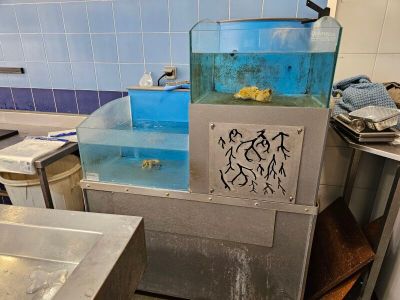 a fish tank in the middle of a kitchen with a sink