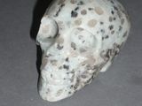 a white and black skull on a gray surface