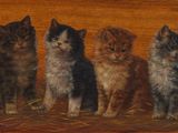 tableau représentant un groupe de chatons assis sur un lit de foin