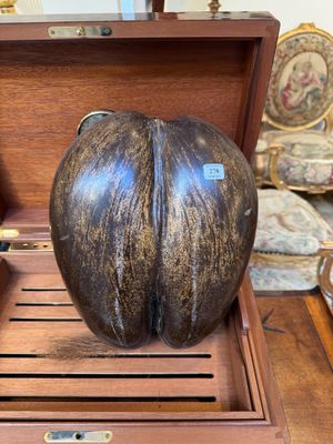 Coco fesse poli et patiné Hauteur : 27 cm