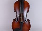 a close up of a violin on a white background
