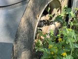 une voiture dont un pneu est enfoncé dans l'herbe